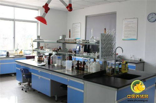 標桿工廠再創輝煌——浙江播恩預混料教槽料產銷量破10000噸慶典隆重舉行